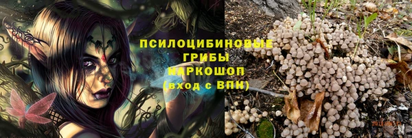 ГАЛЛЮЦИНОГЕННЫЕ ГРИБЫ Богородицк