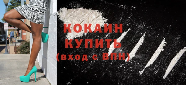 дживик Бородино
