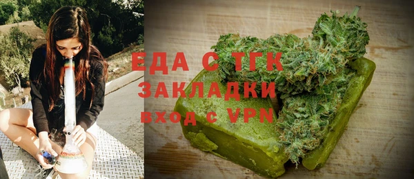 дживик Бородино