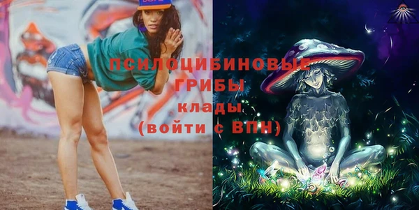 дживик Бородино