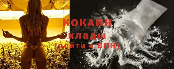дживик Бородино