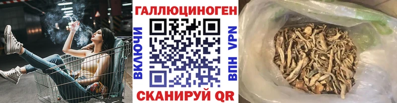 MEGA ССЫЛКА  Демидов  Галлюциногенные грибы мицелий 